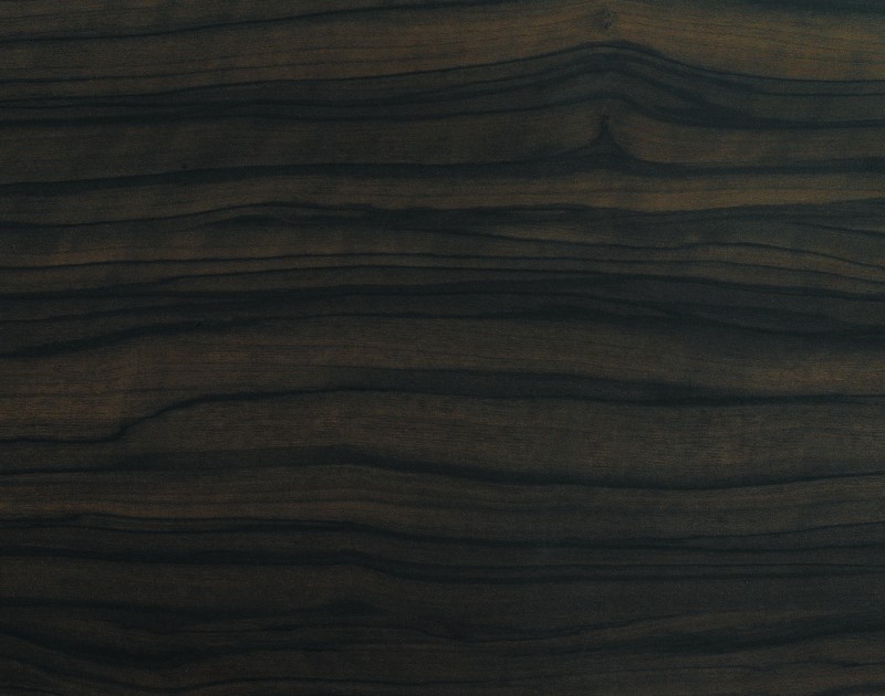 Dark Spanish Olive